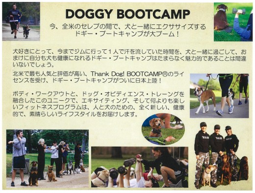 DOGGY　BOOTCAMP1